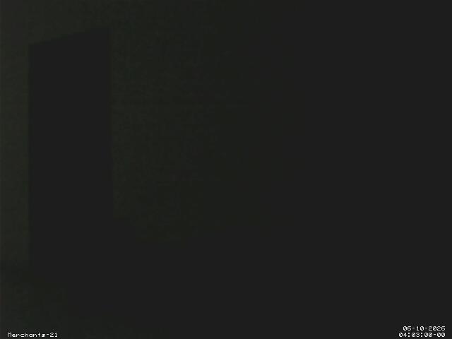 Camera Three